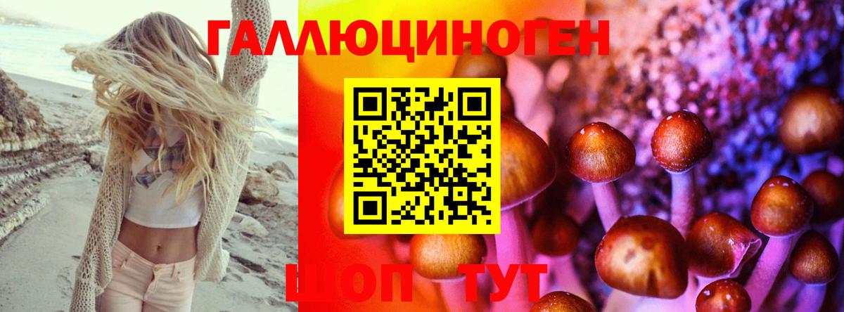 Псилоцибиновые грибы прущие грибы  Вход с VPN  Лесозаводск 